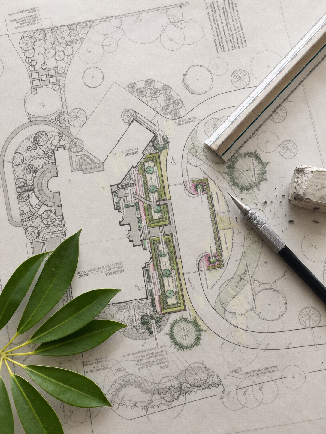 Hand-drafted color planting plan with an architect's scale, mechanical pencil and tropical foliage
